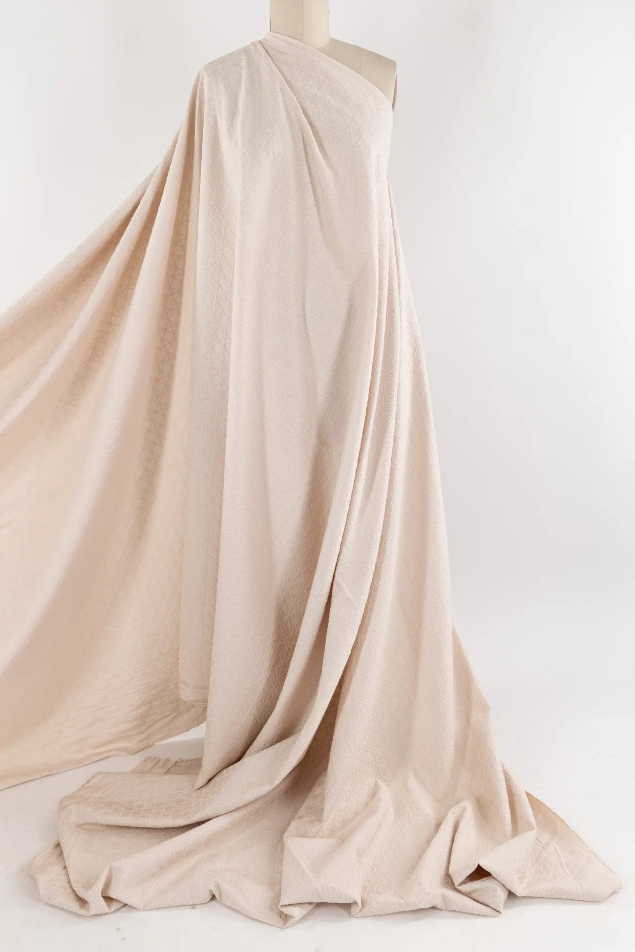 Champagne Embroidered Cotton Woven