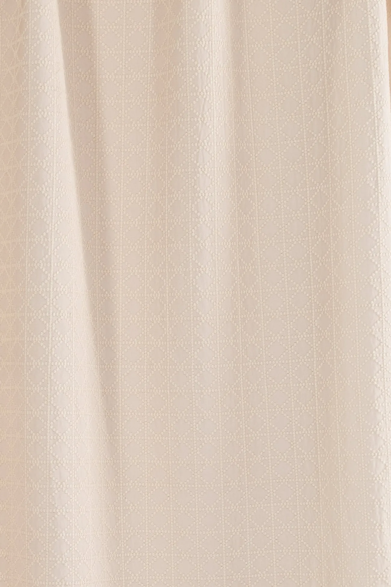 Champagne Embroidered Cotton Woven