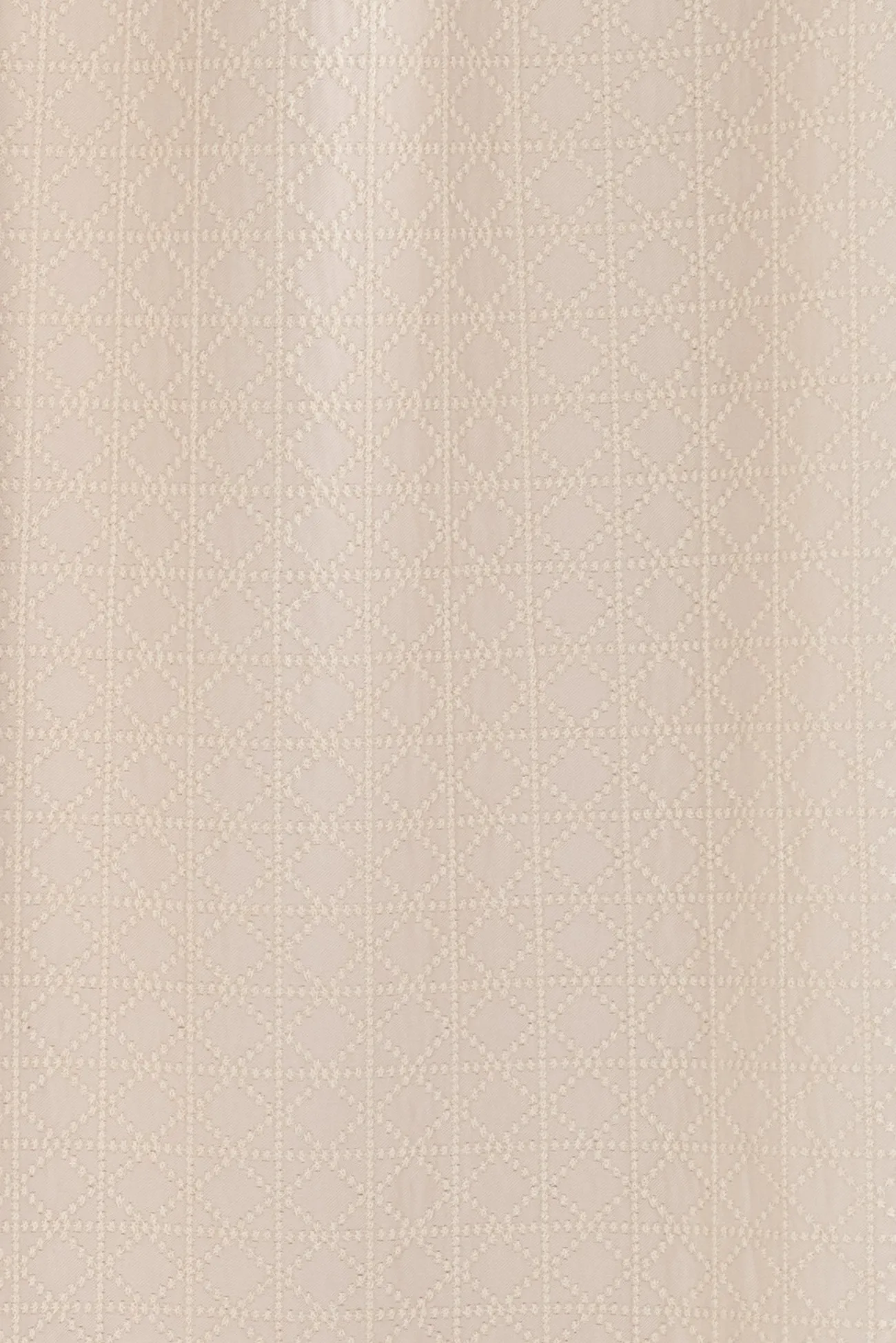 Champagne Embroidered Cotton Woven